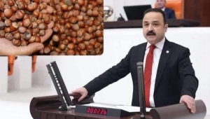 MHP Ordu Milletvekili  Naci Şanlıtürk ; zirai don ödemeleri listesinde Ordu’nun yer almamasına ilişkin kamuoyunda oluşan tereddütleri giderdi 