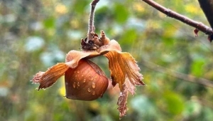 40 YILDIR AYNI TERANE!