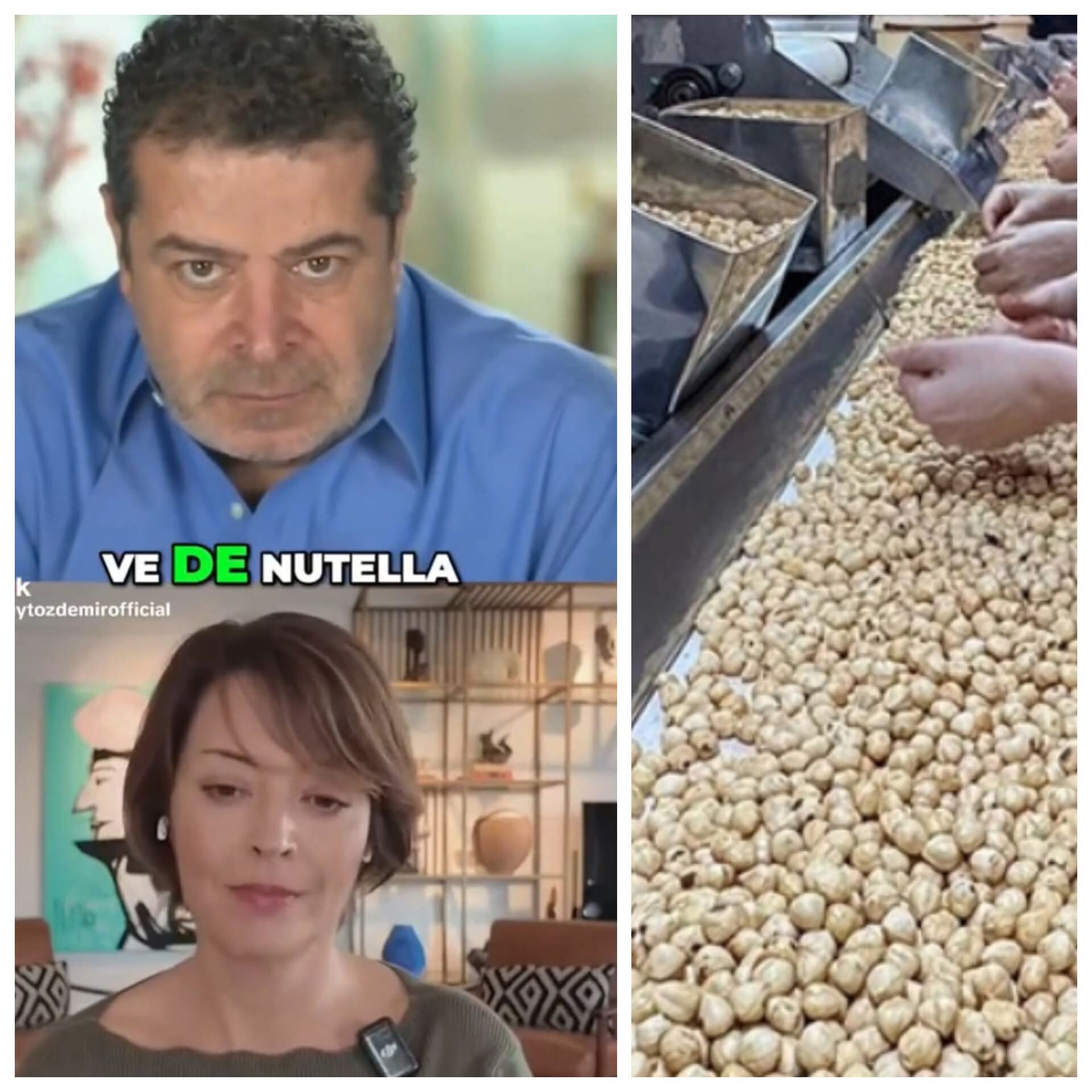 Fındığın Yüzde 70'i Bizden, Kazanan Ferrero 