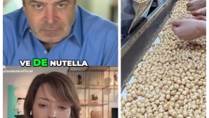 Fındığın Yüzde 70'i Bizden, Kazanan Ferrero 