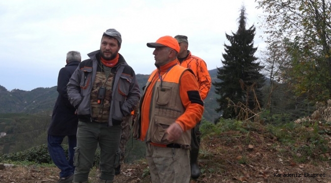 Rize'de ayı için sürek avı başlatıldı