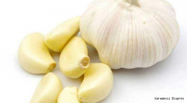  SARIMSAK SEN NEYMİŞSİN