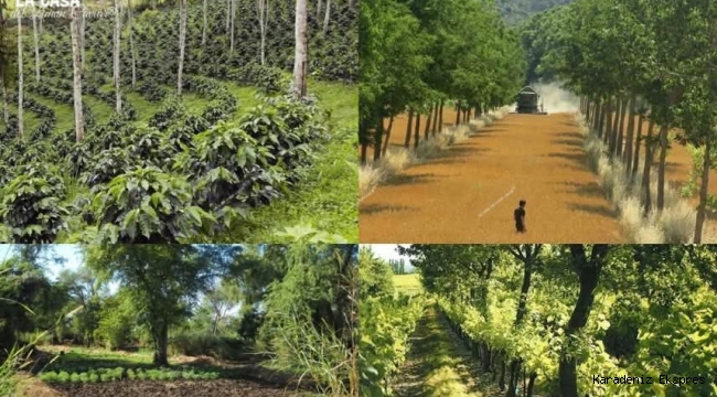 Türkiye Olarak Bir Felaketin Eşiğindeyiz… Ama Hâlâ Kurtuluş Kapısı Aralık! 