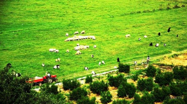 300 ovayı 'tarımsal sit alanı'yla koruma hedefi