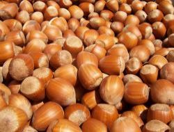 Oltan Gıda, İtalyan Ferrero'ya satıldı.