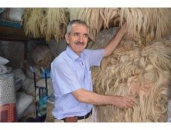 Koyun Yünü Eski İlgiyi Görmüyor