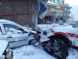 Gölköy'de Kaza