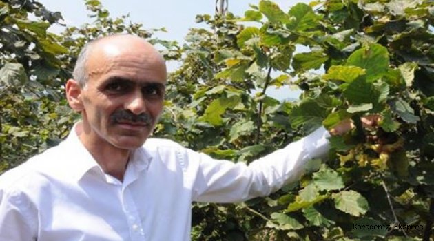 AK Parti Ordu Milletvekili Şenel Yediyıldız’ın fındık ile ilgili açıklamasına Giresun Ziraat Odası Başkanı Nurittin Karan'da tepki gösterdi