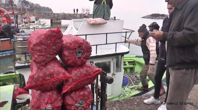Akçakoca'dan Uzak Doğu'ya salyangoz ihracatı