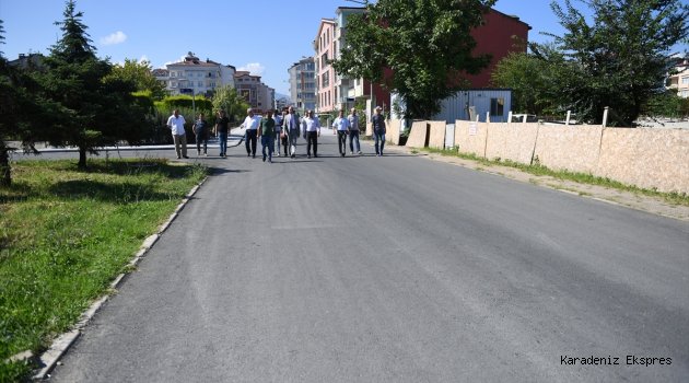 Altınordu'da sıcak asfalt çalışması