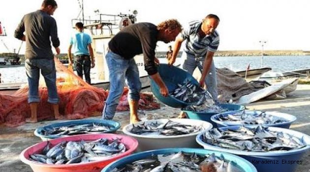 Balıkçılar deniz suyu ve hava sıcaklıklarının düşmesini bekliyor