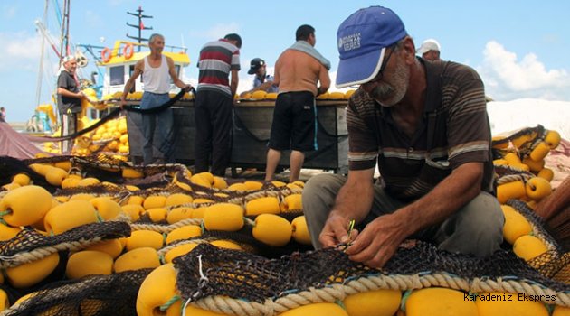 Balıkçılar yeni sezonda palamuttan umutlu