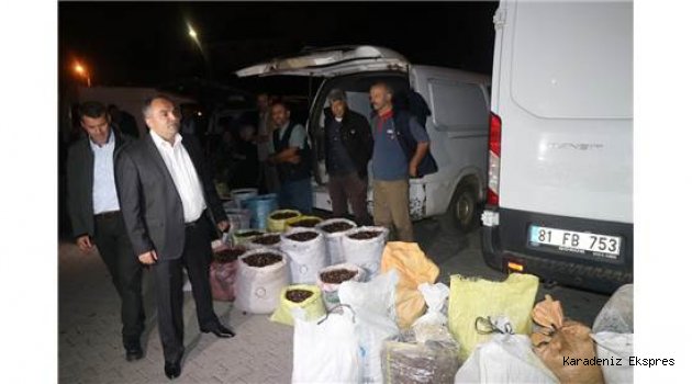 Başkan Ay'dan kestane satıcılarına yeni alan