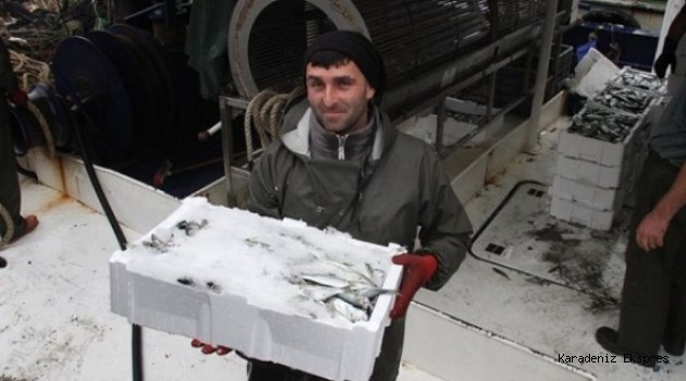 Batı Karadeniz'de çinekop bolluğu yüzleri güldürdü