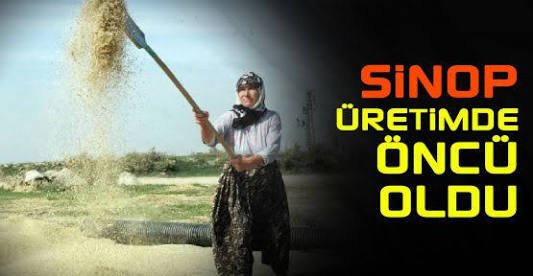 Boyabat'ta çeltik üreticileri bilgilendirildi