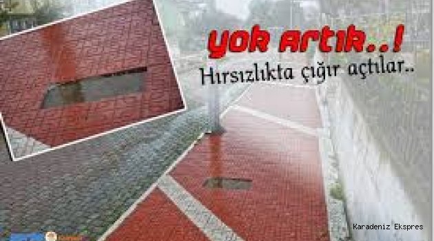Boyabat'ta demir hırsızlığı iddiası