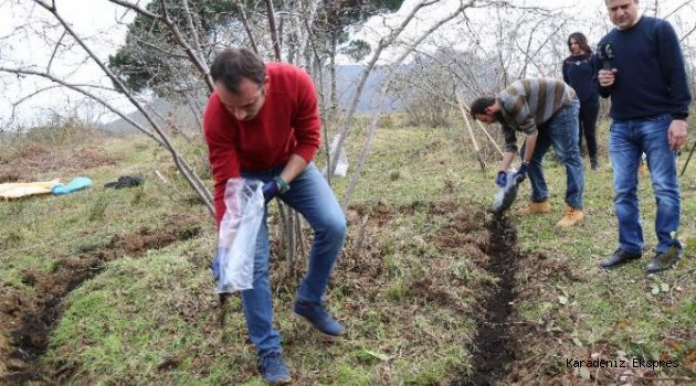 Çiftçilere verilen eğitim fındık verimini yüzde 30 arttırdı
