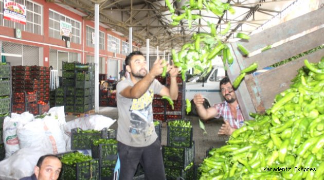 Çiftçilerin ürünleri değerini buldu