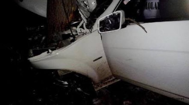 Çorum'da ağaçlara çarpan otomobilin sürücüsü öldü