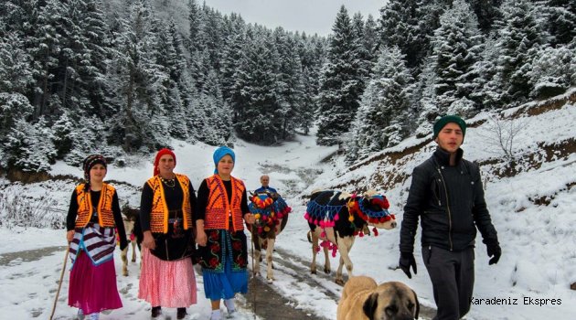 Doğu Karadeniz'de kış güzelliği