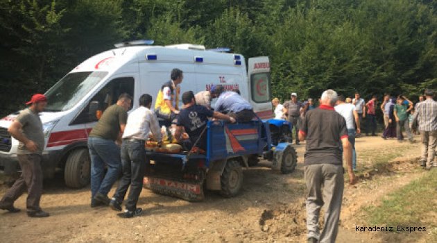 Düzce'de pat pat devrildi: 1 yaralı