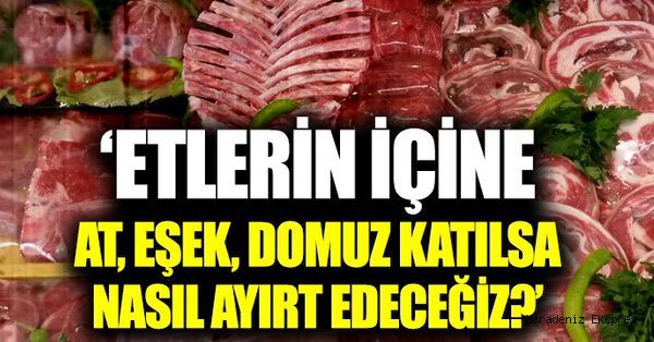 Etlerin içine at, eşek, domuz katılsa nasıl ayıt edeceğiz?
