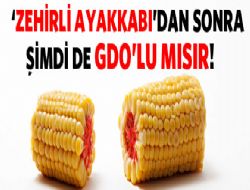 'Zehirli ayakkabı'dan sonra GDO'lu mısır!