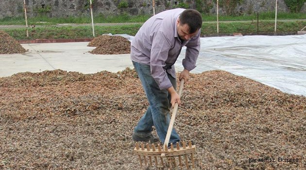 Fındığı Türkiye'nin sahiplenmesi lazım