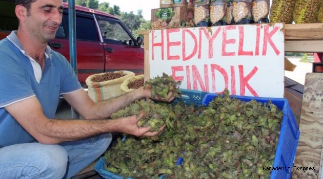 Fındık pazar tezgahına düştü!