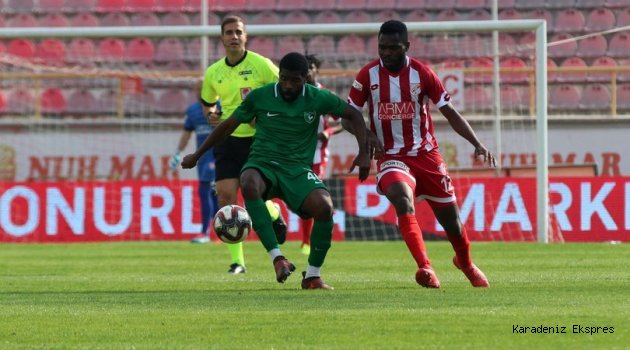Futbol: Spor Toto 1. Lig: Boluspor: 1 Denizlispor: 2