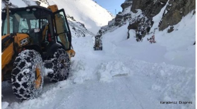 Gümüşhane'de çığ düşen yol ulaşıma açıldı