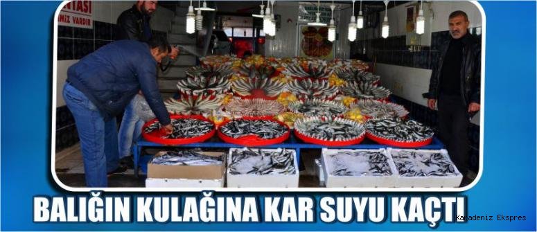 Hamsinin kulağına kar suyu kaçtı