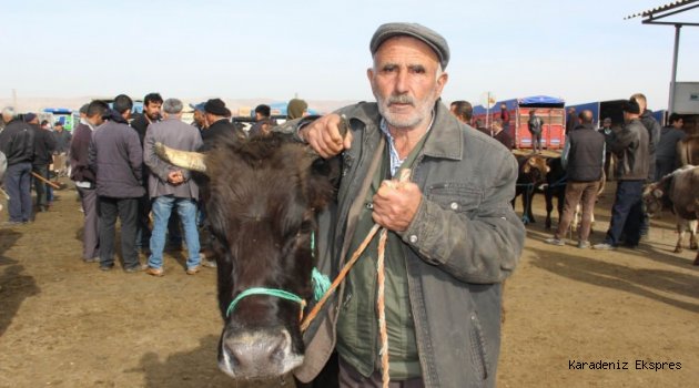 Hastalık ithalatın kendisidir