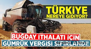 Hububat ithalatında gümrük vergisi sıfırlandı