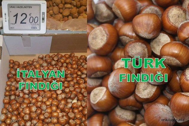 İTALYAN FINDIĞININ EN KÖTÜSÜ BİLE 50 LİRA