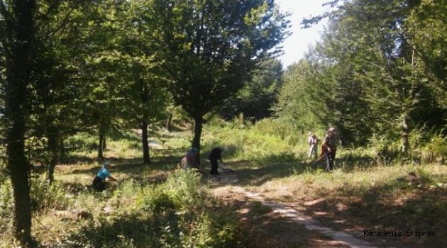 Kandilli'de mezarlıklar temizlendi