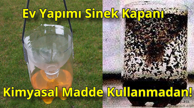 KENDİNİZ SİVRİ SİNEK & KARA SİNEK TUZAGI YAPABİLİRSİNİZ