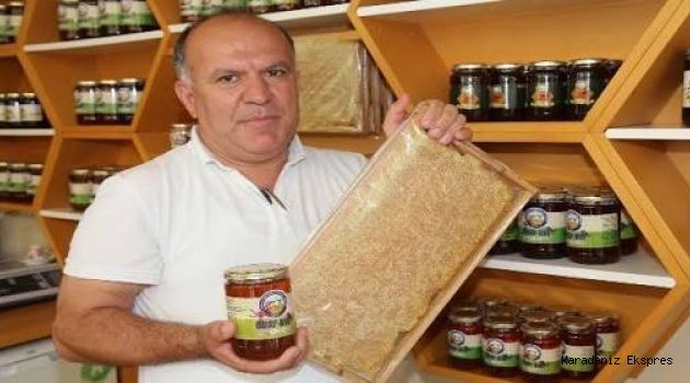 Ordu balında rekolte düşüşü bekleniyor