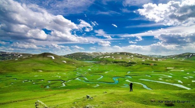 Ordu'da Aybastı İlçesinde bulunan Perşembe Yaylası hayran bırakıyor