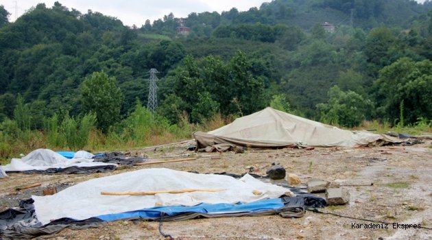 Ordu'da Sel' in bilançocu: Bin 100 ton fındık zarar gördü