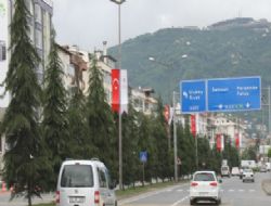 Orduda karayolu ağaçlandırma çalışmaları kapsamında son 4 yılda 5 bin fidan dikildiği belirtildi.