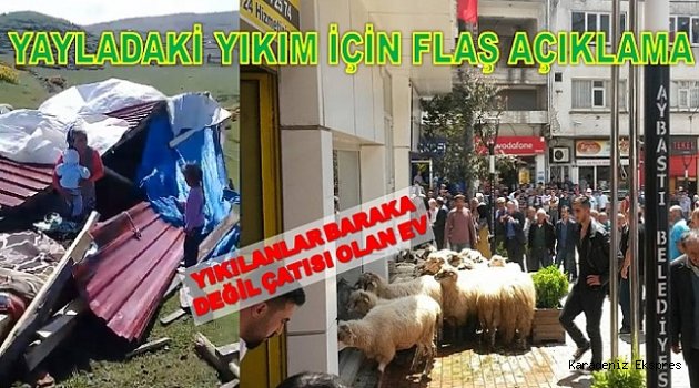 Ordu'nun Aybastı İlçesinde Yayladaki Evini Yıkılan Vatandaş, Koyunlarıyla Belediyeyi Bastı