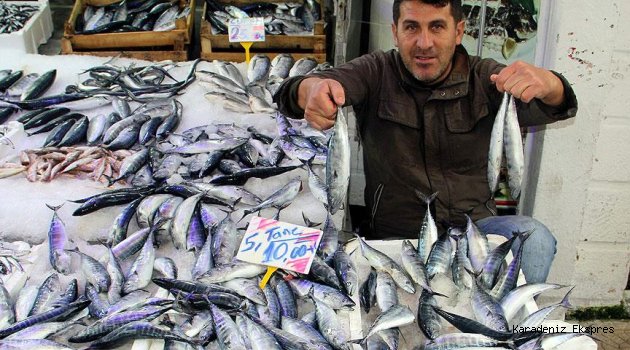 Palamudun fiyatı 2,5 liraya geriledi