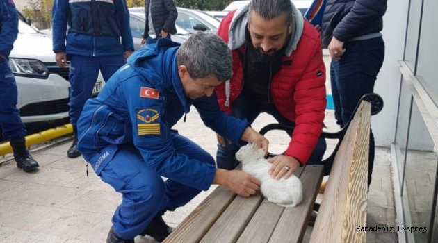 Polis aracının motor kısmına sıkışan kedi kurtarıldı