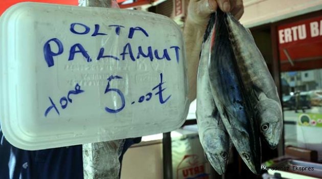 Sezonun ilk palamudu 5 liradan satışta