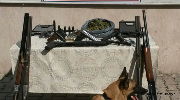 Sinop'ta kaçakçılık operasyonu