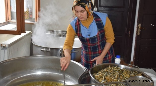 Sinop'taki festivalde 2,5 ton hamsi tüketildi