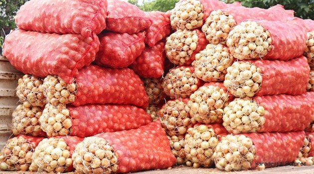Soğanın fiyatı, depolara baskın ve bazı gerçekler