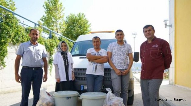 Sokak hayvanları için yemek masalarından "kürdan" kaldırıldı