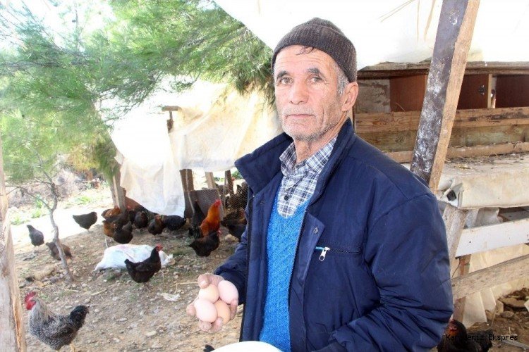Son maaşı ile çiftlik kurdu! Üretime geçti, talebe yetişemiyor